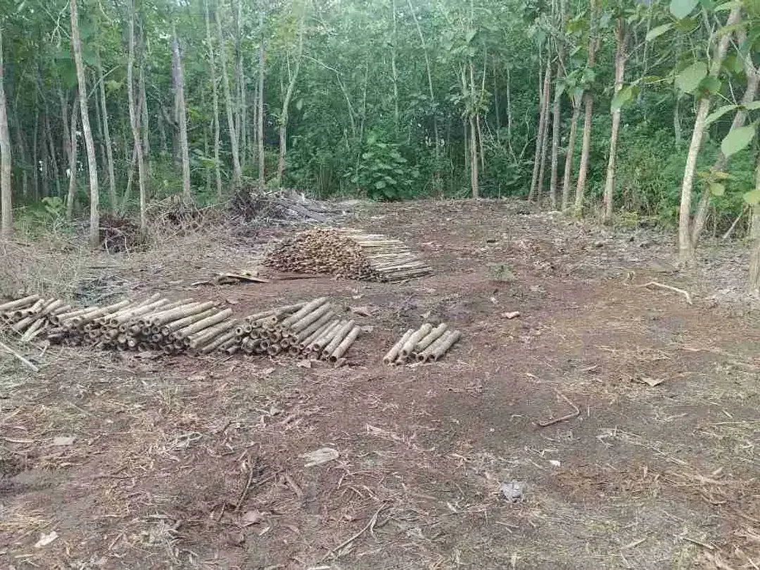 Di jual lahan baru di buka desa kutuh Badung sangat cocok untuk komersil bisa ambil plot kecil - Image 7 of 8