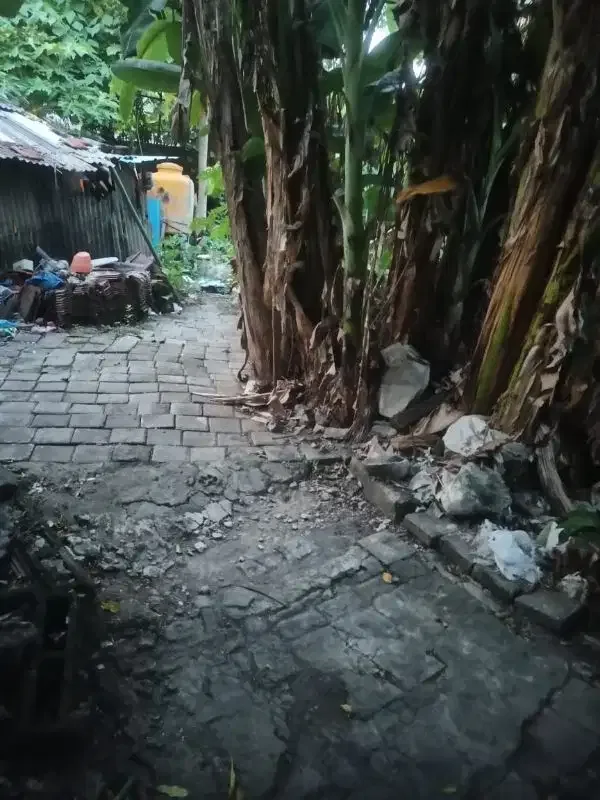 tanah kontrak termurah di pinggir jalan umalas - Image 9 of 10