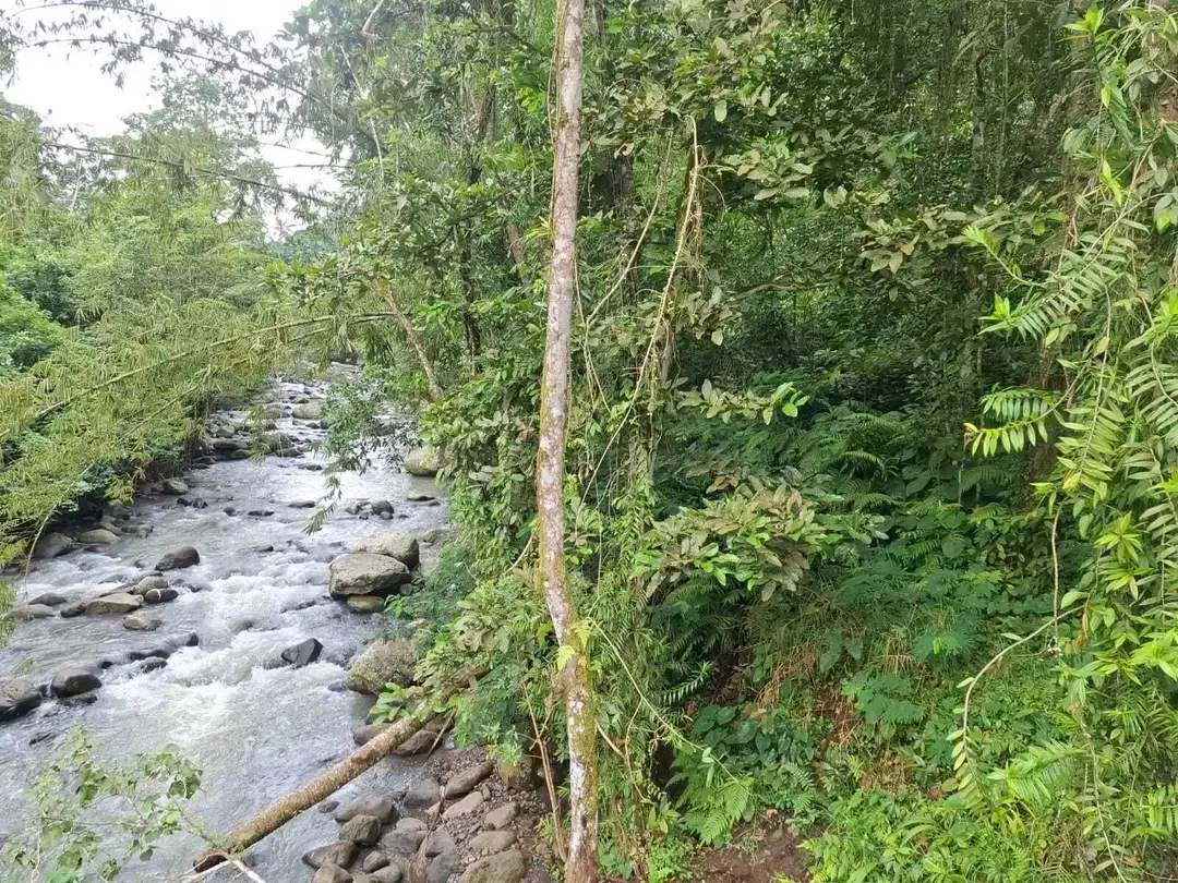 Dijual tanah kecil los sungai besar di tabanan bali - Image 3 of 8