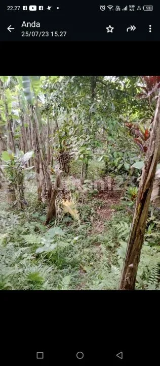 Dijual Lahan Ubud - Image 1 of 4