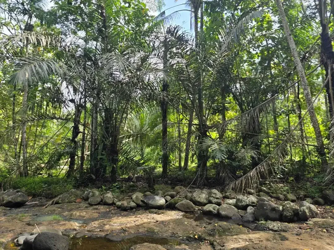 DIjual tanah dengan sungai bebatuan sangat cantik di tabanan bali - Image 4 of 10