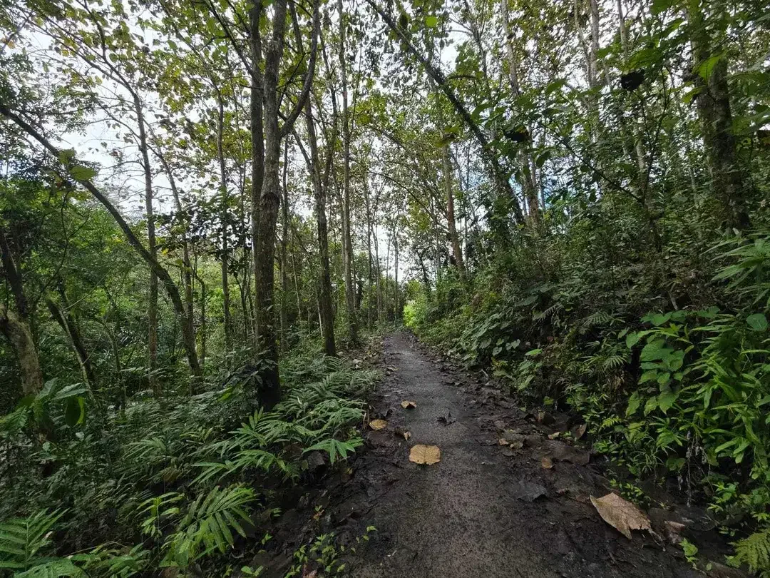Dijual tanah view sungai dekat villa galalima glamping bali - Image 7 of 10