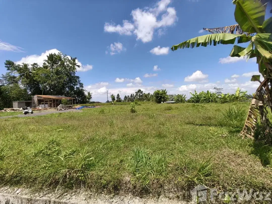 Land for sale in Tegallalang, Bali - Image 3 of 9