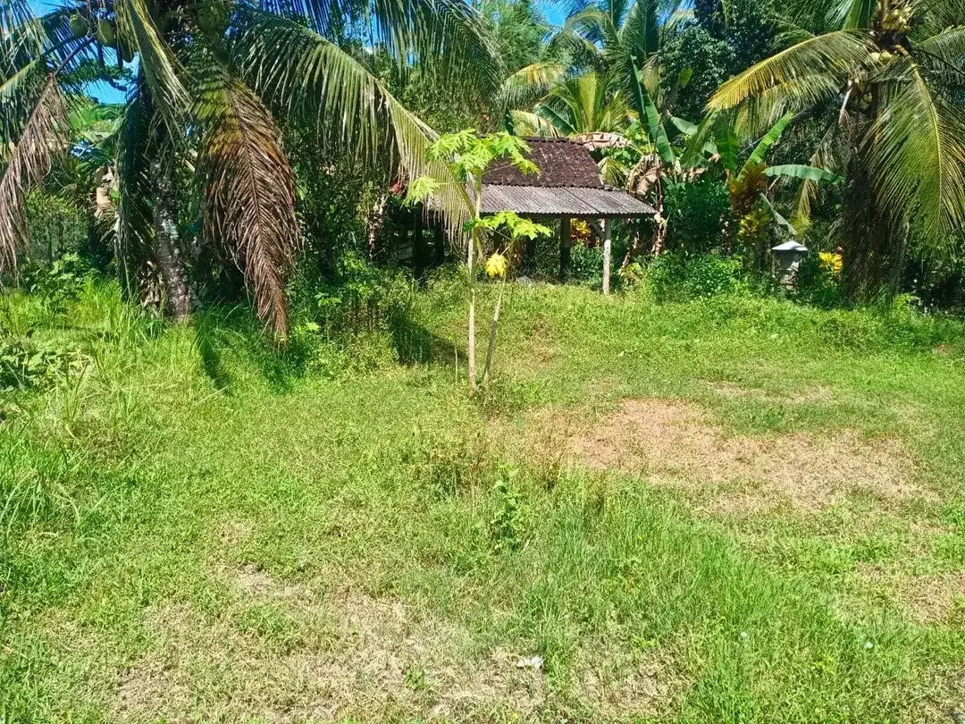 6580 sqm land for sale in an enchanting landscapes of Tabanan, Bali - Image 4 of 9
