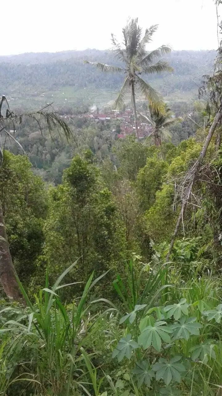 Land 8,6a for Sale at Sidemen Traditional Village Bali - Image 4 of 5