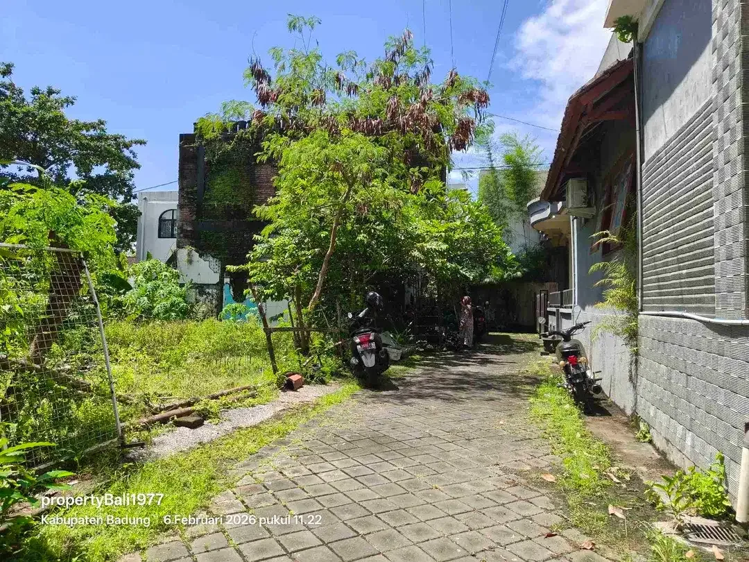 Tanah 135m2 di Umalas tegal cupek Kerobokan - Image 4 of 8