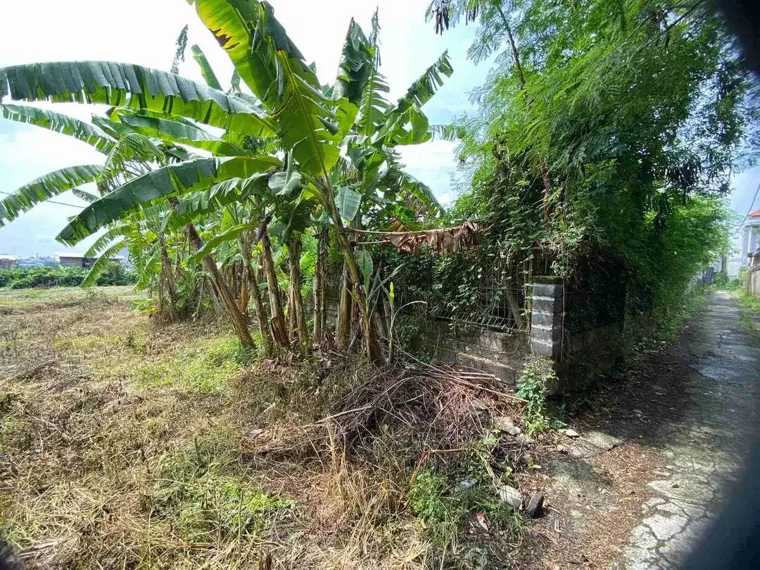 Tanah 758m2 di Canggu tandeg lingk Villa - Image 5 of 8