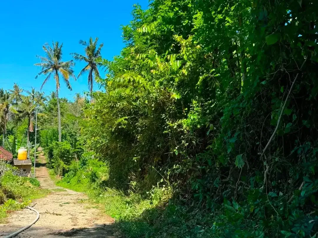 [FOR LEASE] Prime 8-Are Ocean View Land in Padangbai – Near Quenzo Beach Resort - Image 1 of 3