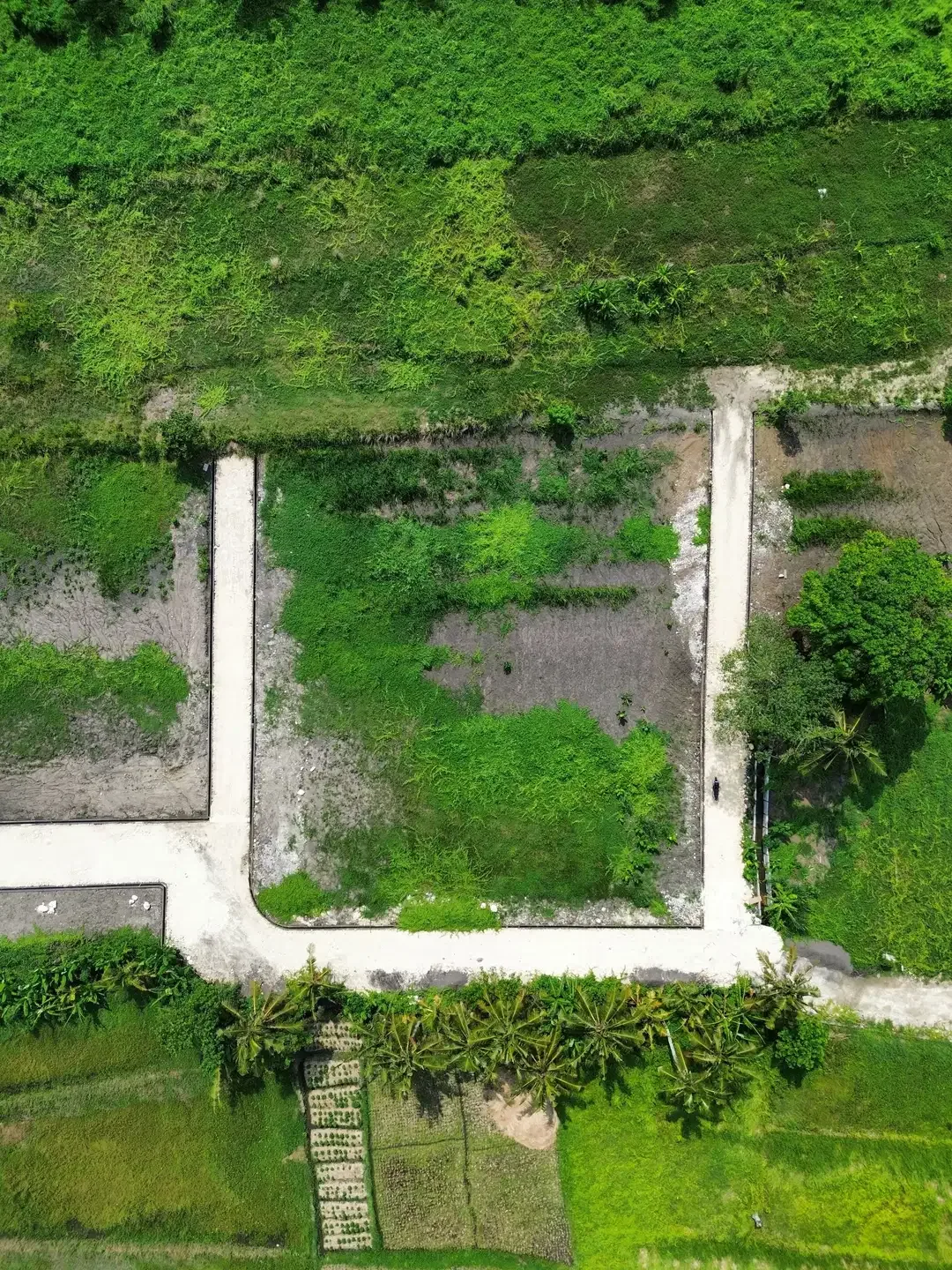 Tanah dijual Pantai Kedungu Tanah Lot Bali full view - Image 3 of 10