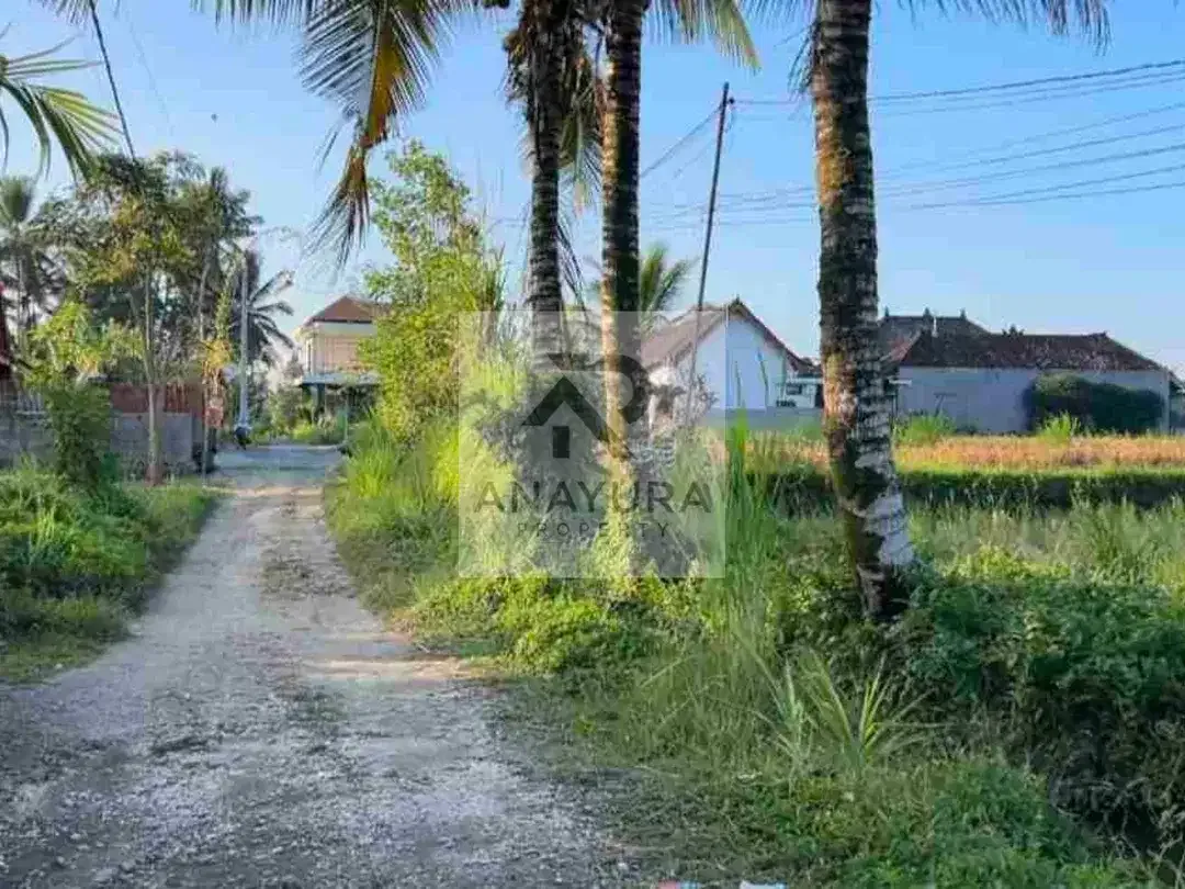 Tanah Pejeng Kangin Dekat Ubud - Image 2 of 10