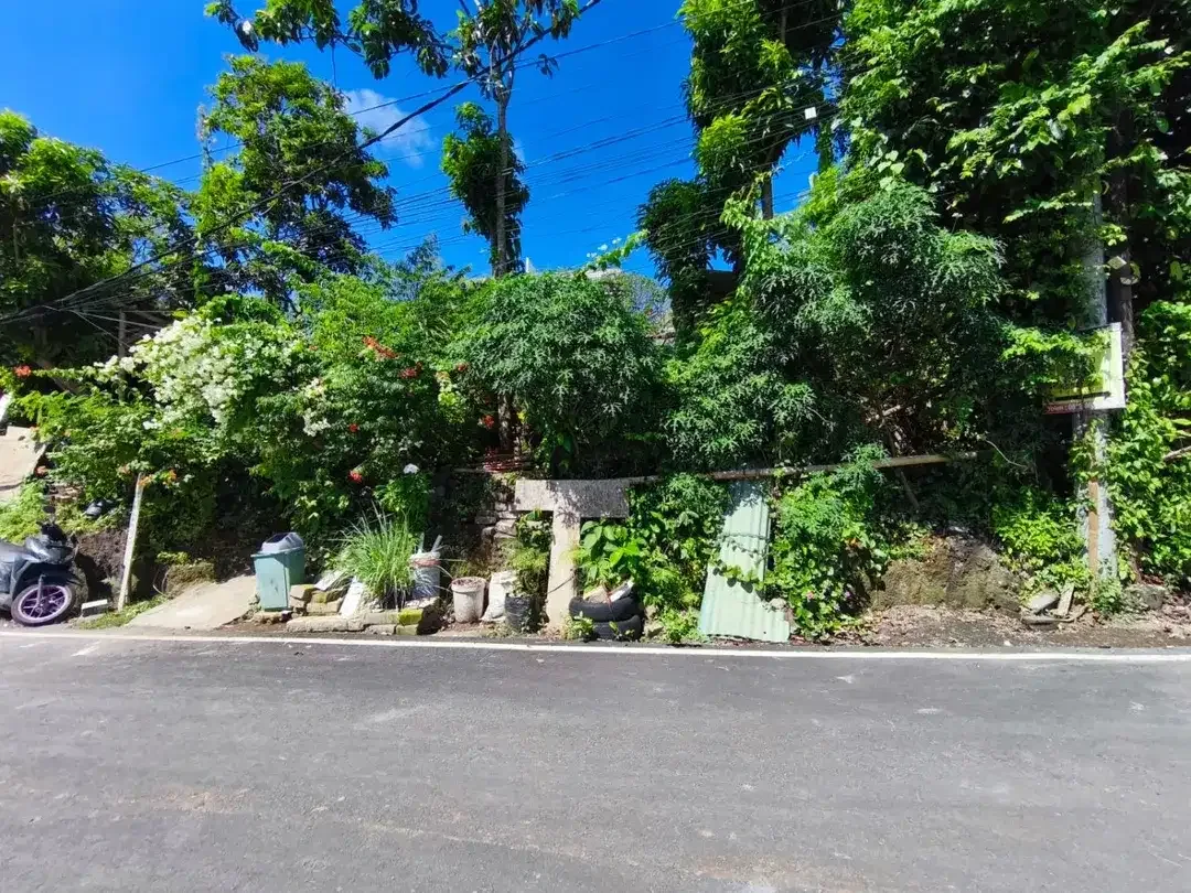 Disewakan Murah Tanah Lokasi Premium di Jl. Toya Ning, Ungasan. - Image 4 of 8