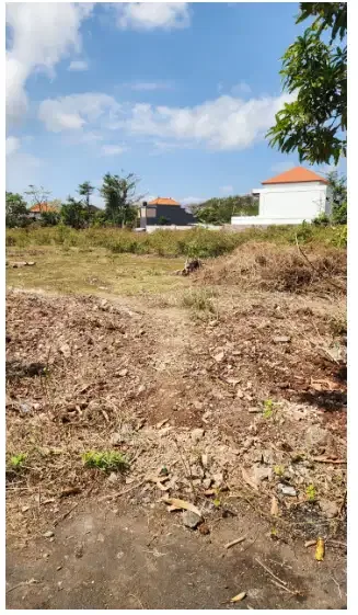 Tanah 31 Are di Kutuh - Image 3 of 6