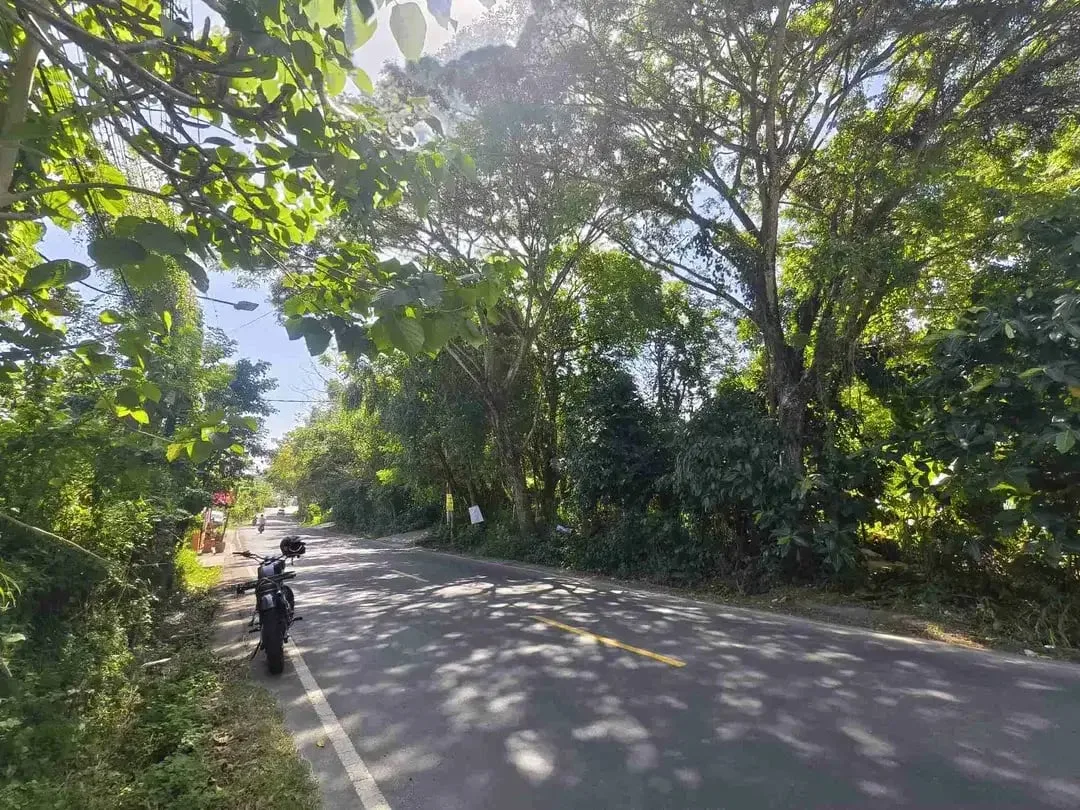 Tanah Komersial Main Road Uluwatu Dekat Pantai Nyang Nyang - Image 2 of 9