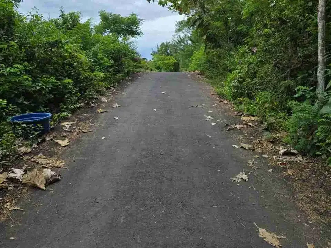 Kawasan Strategis 5 Menit Pantai Pandawa 1300m² SHM Lengkap - Image 3 of 6