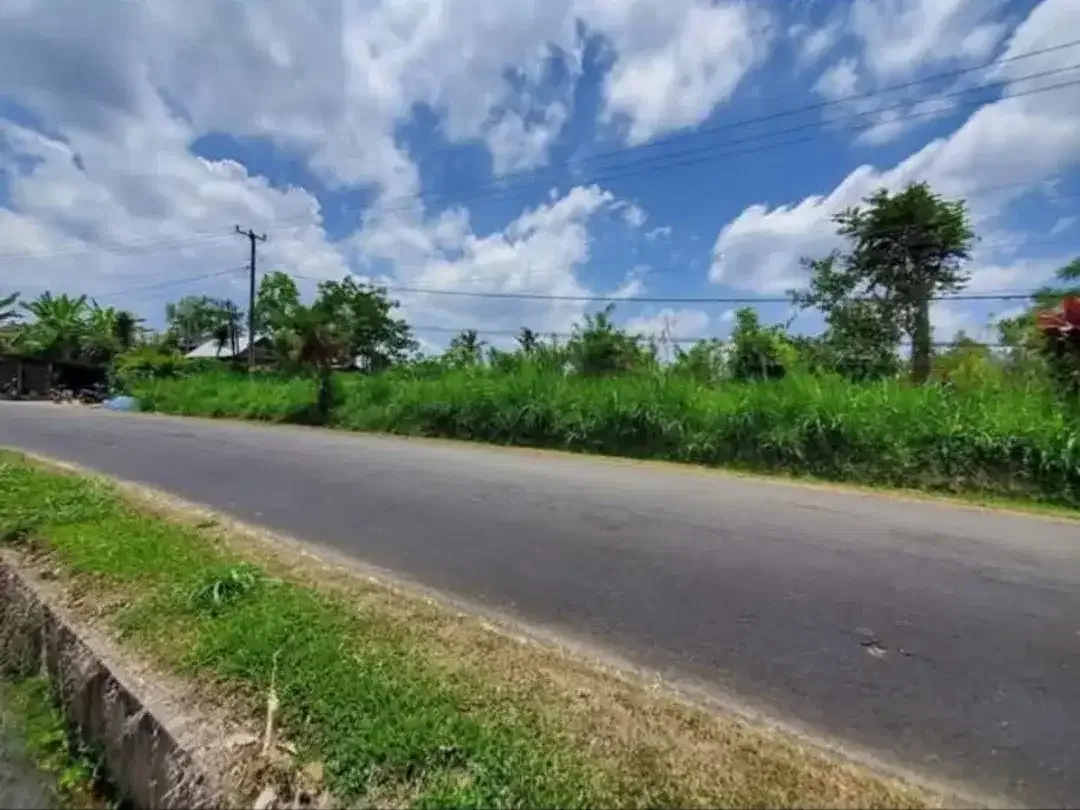 Di Jual Tanah Komersial Murah - Petang, Badung - Image 3 of 3