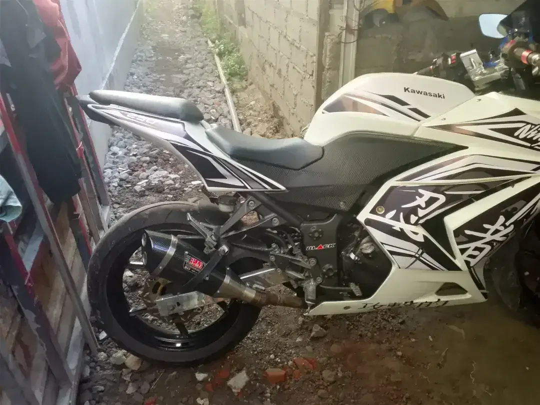 Ninja karbu 250cc - Image 3 of 5
