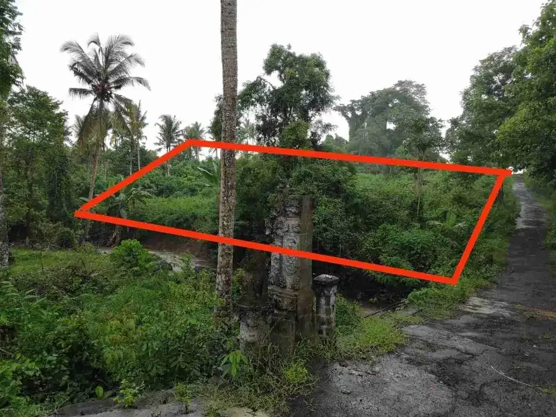 Tanah Strategis Luas Lingkungan Asri di Antap Tabanan - Image 2 of 8
