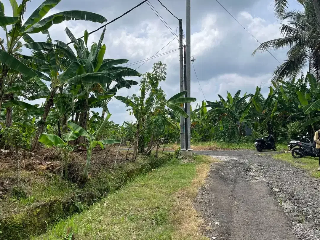 Dijual Tanah lingkungan tenang aman dan nyaman View Sawah dekat dengan kota Tabanan, sangat cocok untuk di bangun rumah,villa, maupun investasi. - Image 7 of 8