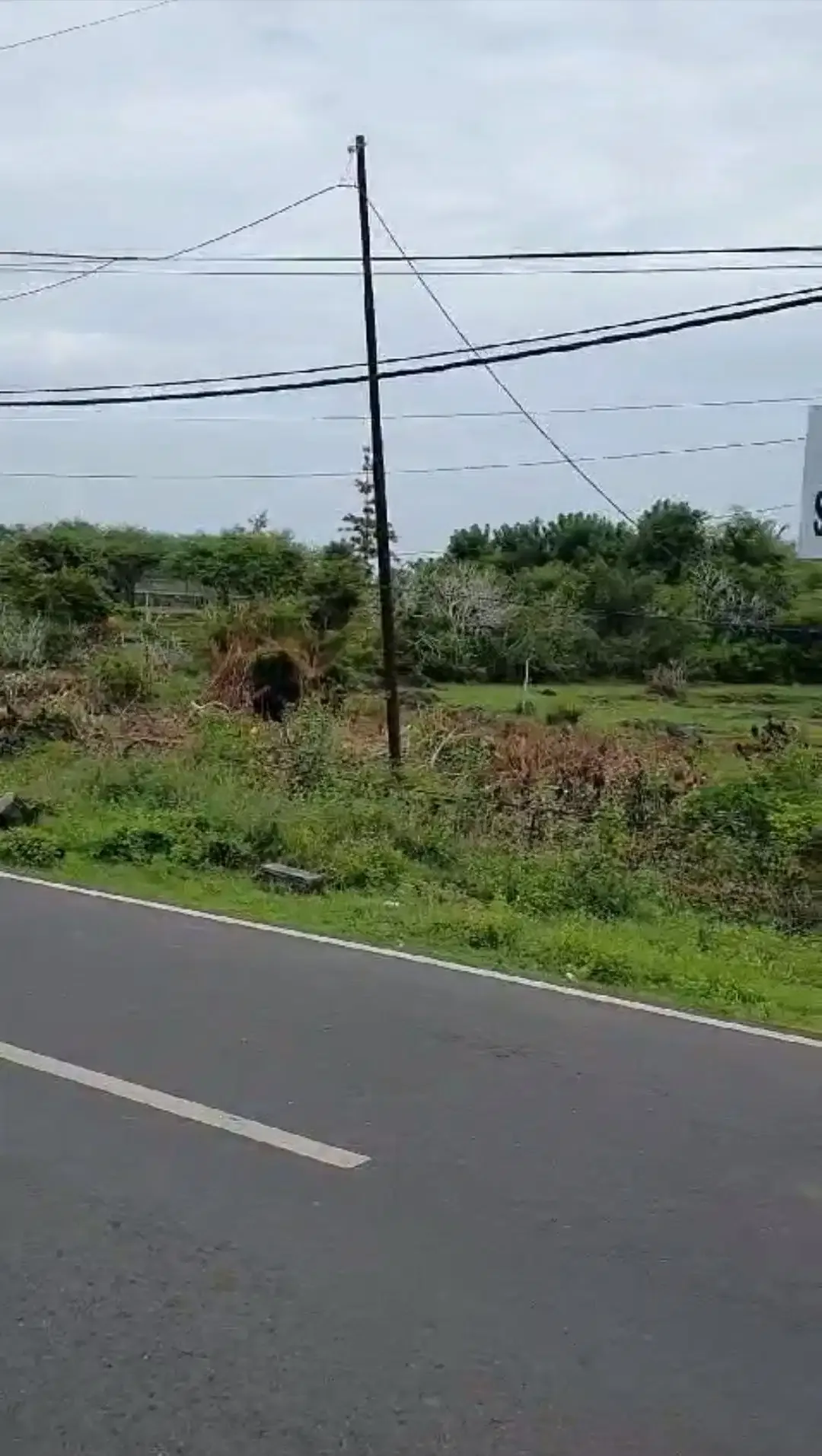 Tanah Pink Zone Di Jalan Nusa Dua Selatan Dekat Pandawa Golf - Image 3 of 3