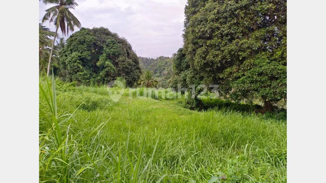 Freehold/Dijual Tanah Los Sungai Wos, - Image 1 of 4