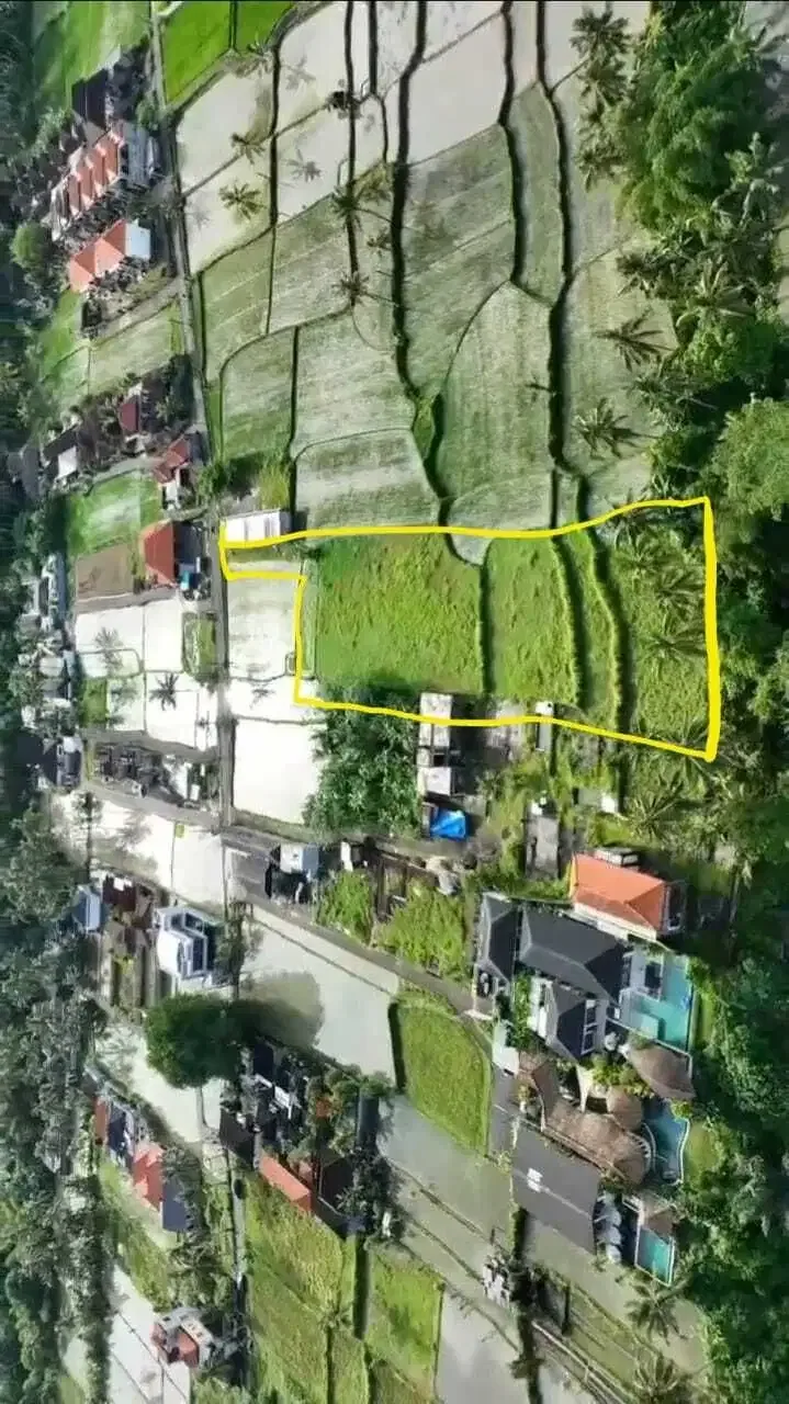 Tanah Siap Bangun View Sawah di Pejeng Ubud - Image 8 of 10