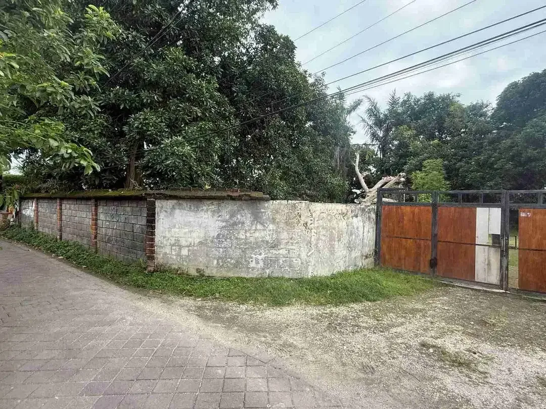 JUAL TANAH DEKAT 
PANTAI KELAN & BANDARA NGURAH RAI BALI
LOKASI JALAN SEGARA MADU, KEDONGANAN
JIMBARAN KUTA SELATAN 
COCOK UNTUK PERUMAHAN, KOMPLEK VILLA 
VILLA KOMERSIL - Image 4 of 10