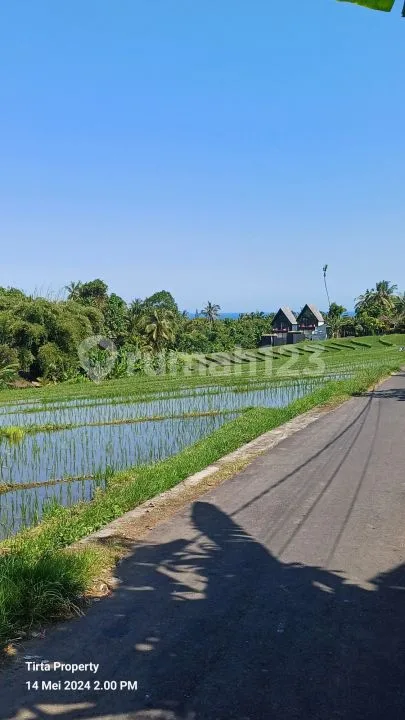 Tanah Balian Beach 7200m2 SHM - Image 4 of 4
