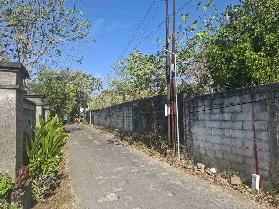 DIJUAL CEPAT TANAH BELAKANG SAMPING MALL JIMBARAN DEKAT KAMPUS UDAYANA - Image 2 of 5
