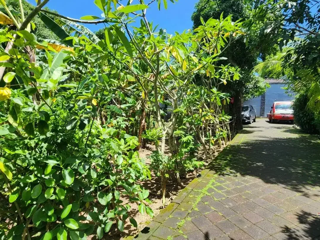 Tanah Cantik Premium 8 Are Dijual di Benoa, Nusa Dua Area - Image 1 of 5