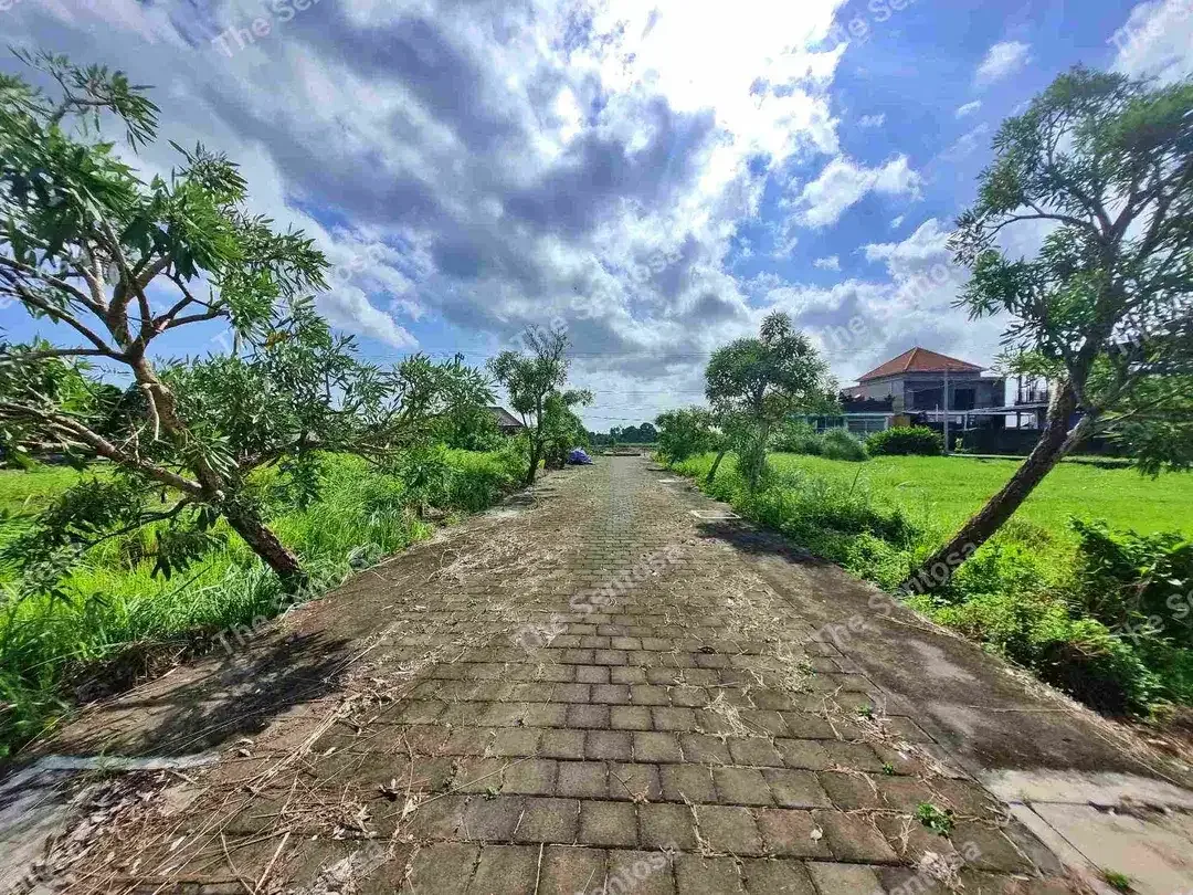 Tanah Pantai Kedungu dekat pantai view sawah lingkungan villa - Image 10 of 10