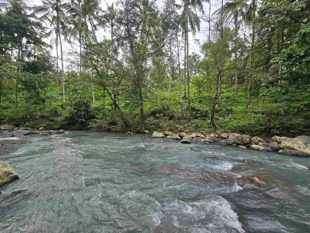 Dijual tanah dengan air terjun dan sungai bebatuan di bali - Image 1 of 10