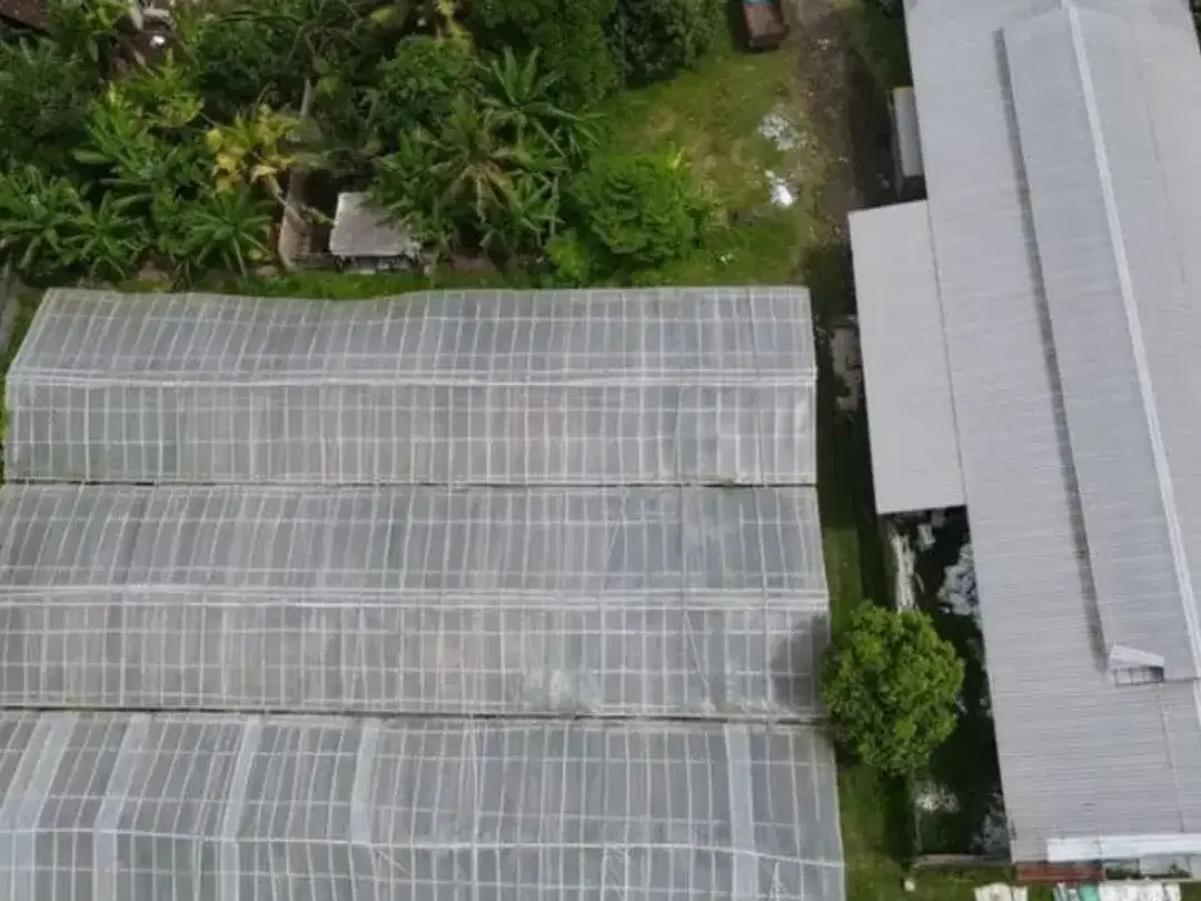 GUDANG GREEN HOUSE DI NEGARA JEMBRANA - Image 3 of 10