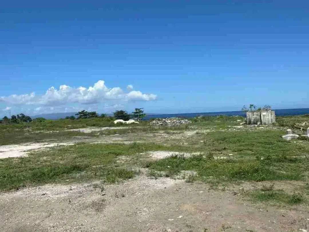 TANAH LOSS PANTAI SIUT IDA BAGUS MANTRA - Image 1 of 7
