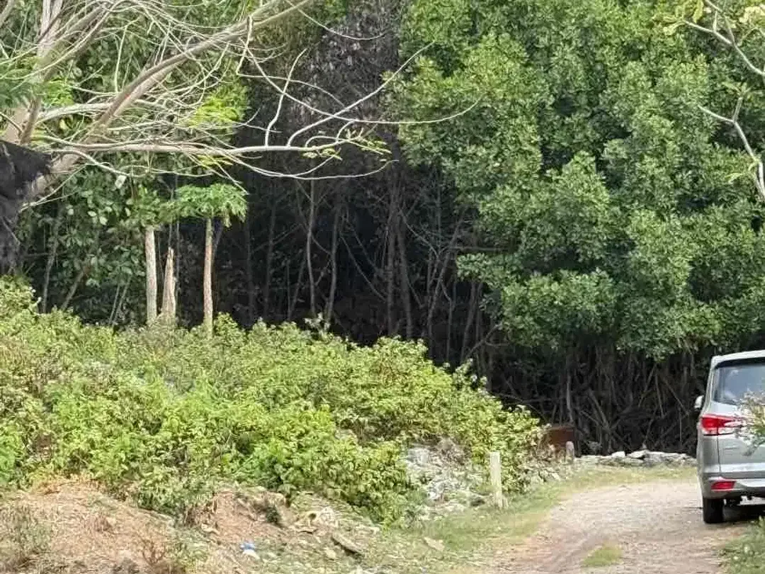 DIJUAL TANAH JIMBARAN BAWAH – DEKAT HARVEST LAND - Image 8 of 10
