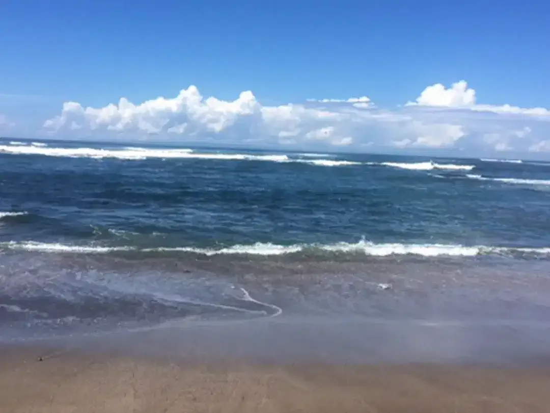 Amazing 37,915 Sqm Beachfront Freehold Land In Jembrana Negara - Image 4 of 10