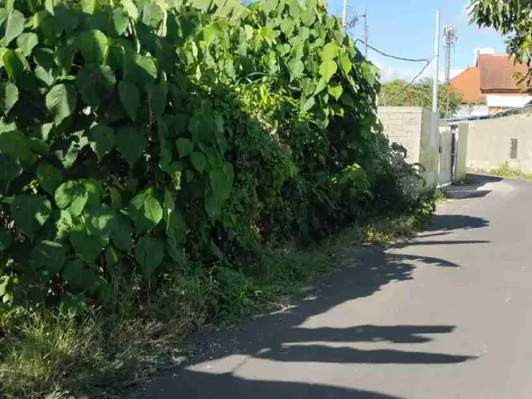 Di jual tanah bagus di pererenan cocok untuk di bangun villa dan hujan lain nya lingkungan bersih dan view sawah - Image 1 of 5
