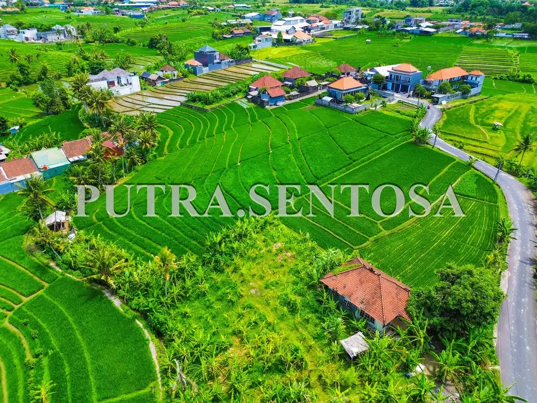 TANAH PERERENAN TUMBAK BAYUH JALAN UTAMA - Image 5 of 9