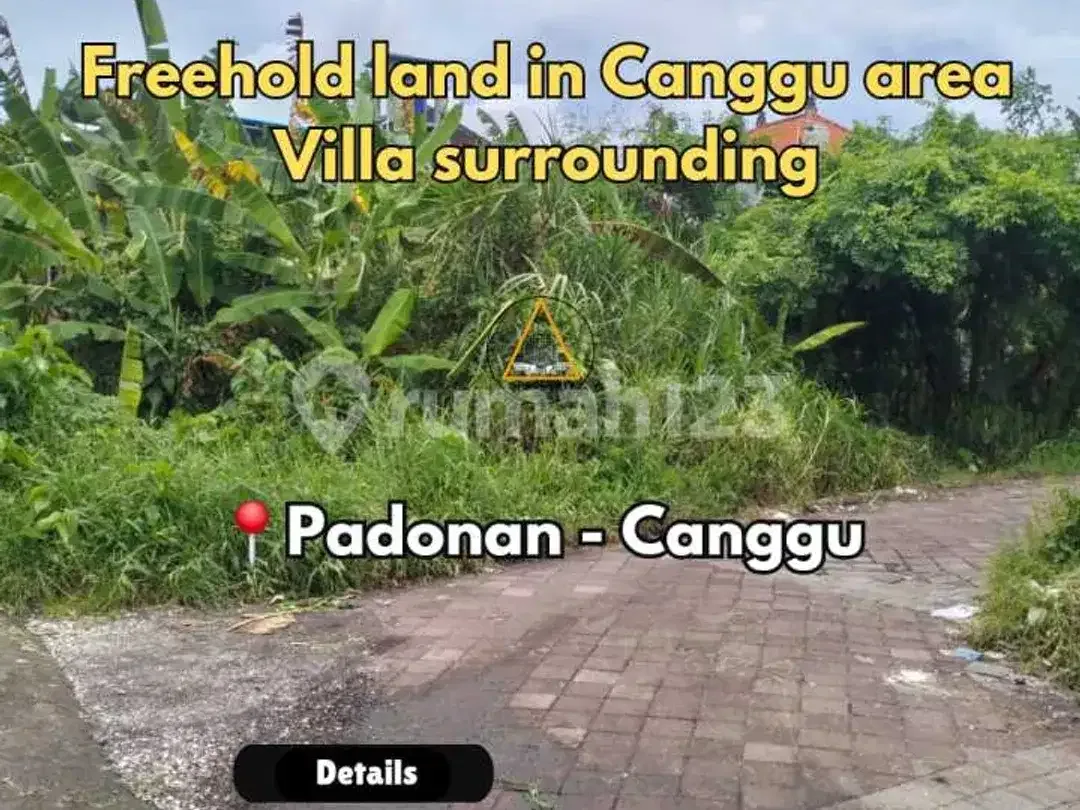 Freehold Land Villla Surrounding In Canggu Area - Image 1 of 8
