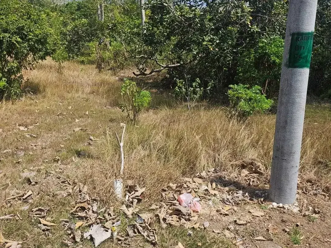 Land for sale in Uluwatu, Bali - Image 4 of 10