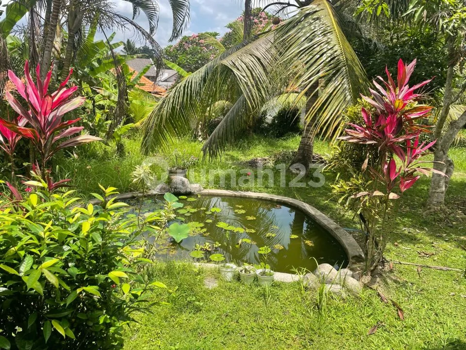 House Rent Big Land Ubud Bali - Image 1 of 4