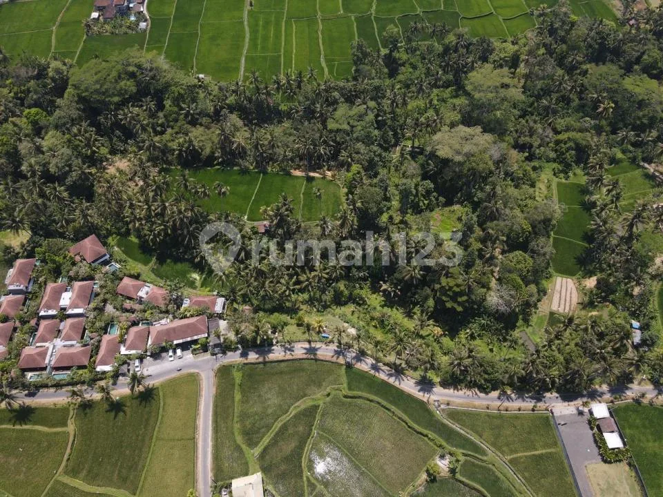 Dijual Tanah Tegallalang Ubud - Image 2 of 4