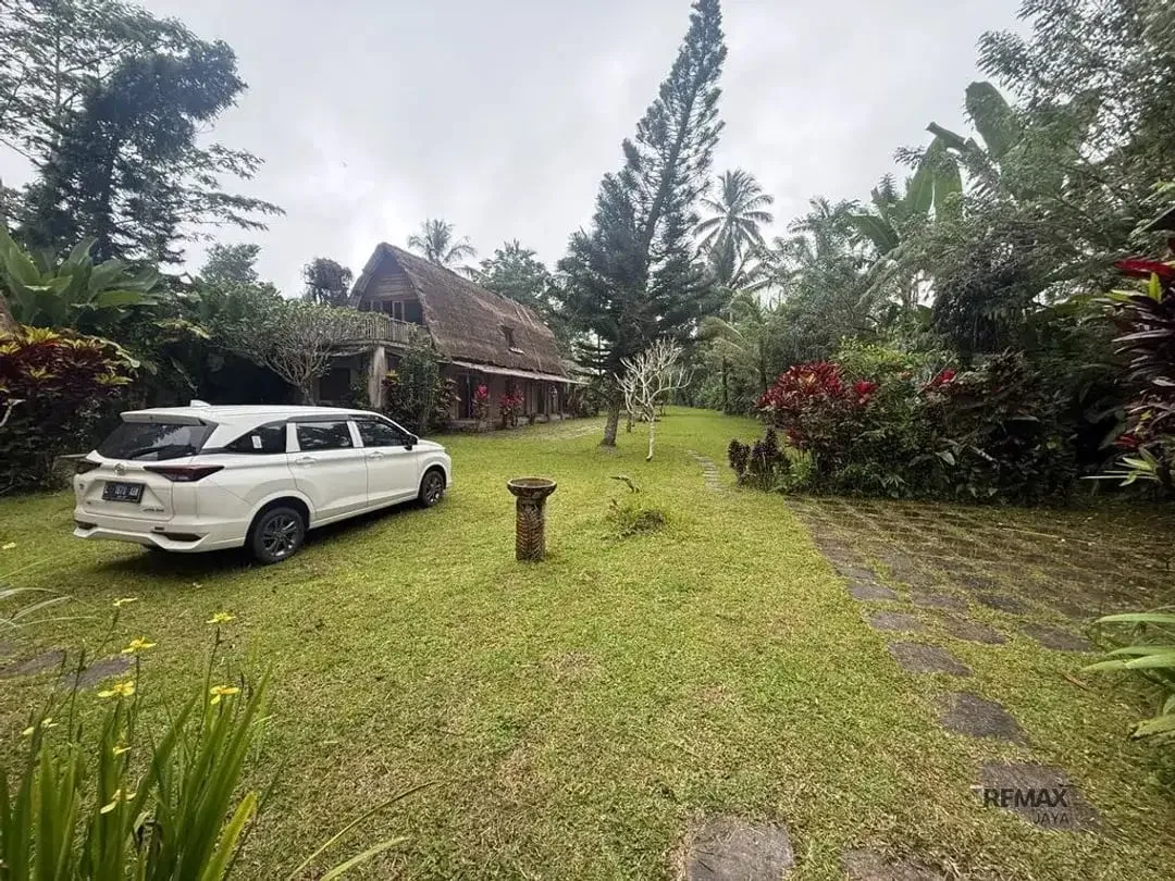 Tanah 36,5 Are View Sunrise Gunung Agung Dijual di Sebatu, Gianyar - Image 3 of 5