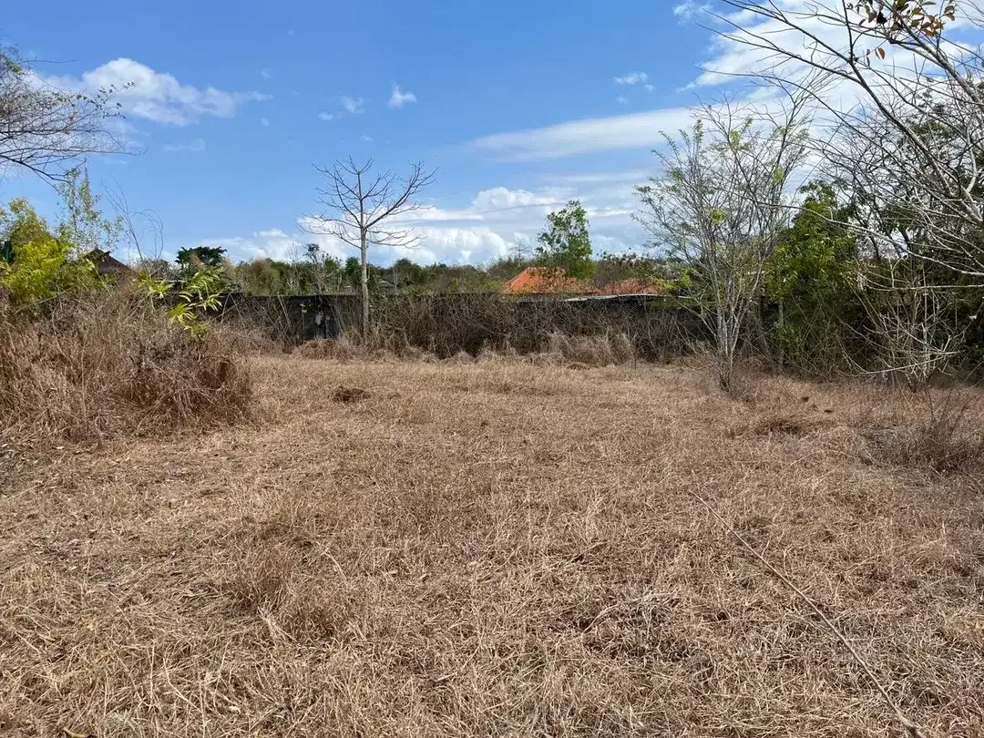 DIJUAL / FREEHOLD : Tanah 1,78 Hectar, Ocean View, Jl Palapa, Jimbaran, Blakang STP Nusa Dua, Kuta Selatan, Badung, Bali - Image 3 of 8