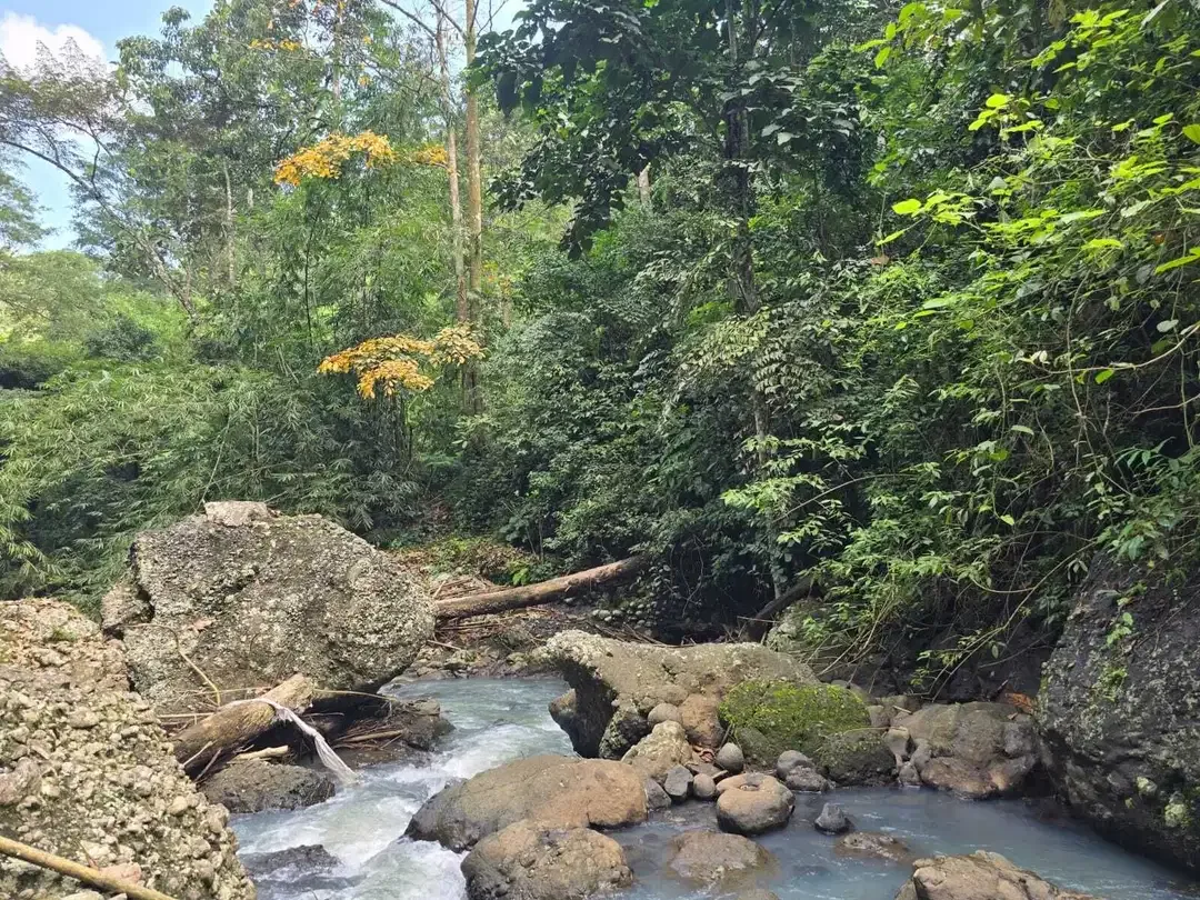 Dijual tanah dengan air terjun dan sungai cantik di bali - Image 4 of 10