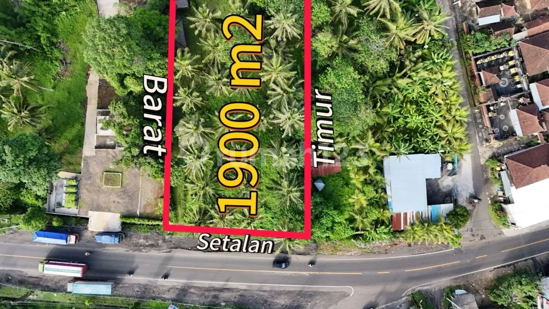 Dijual Tanah Di Pinggir Jalan Utama Denpasar Gilimanuk,dekat Kota Tabanan. - Image 2 of 4