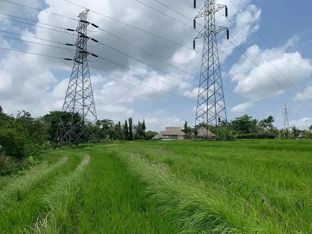 TANAH VIEW SAWAH DAN SUNGAI DI TABANAN - Image 4 of 10