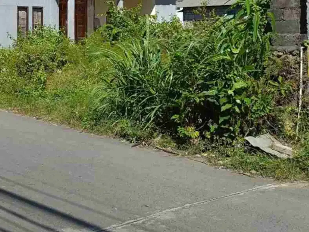 dijual tanah 2,32 are IDR 750 juta per are dikampus unud jimbaran Kuta Selatan Badung Bali - Image 5 of 6