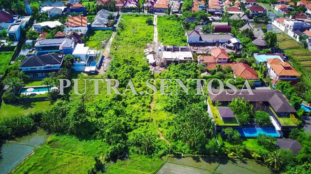 TANAH UMALAS BADUNG BALI DEKAT JL UTAMA - Image 3 of 8