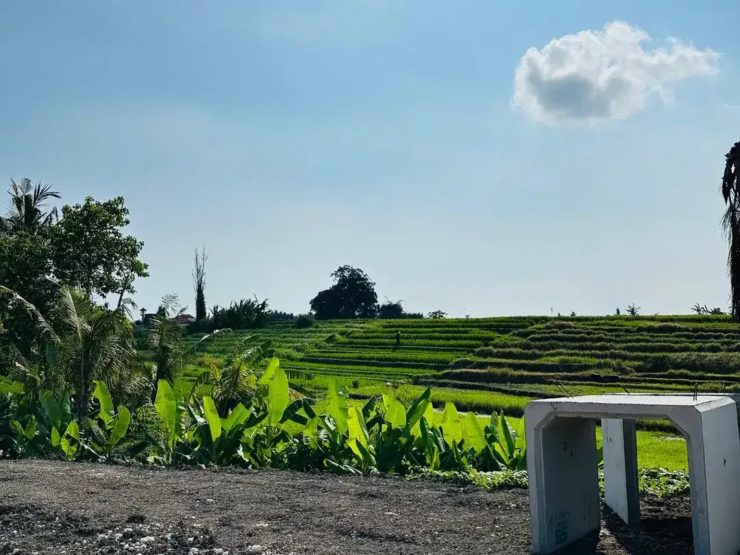 10 Menitan Canggu Tanah Dijual View Sawah, Sunset, Sunrice, Mountain - Image 9 of 10