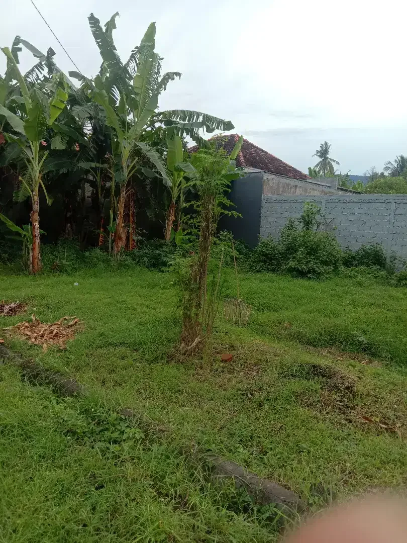 Dijual tanah kapling murah banget di perum elite green lovina residan - Image 10 of 10